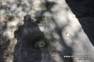 rme santa Venera04-12-2022 10-16-42
